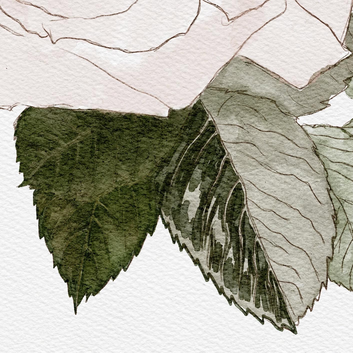 How to paint leaves