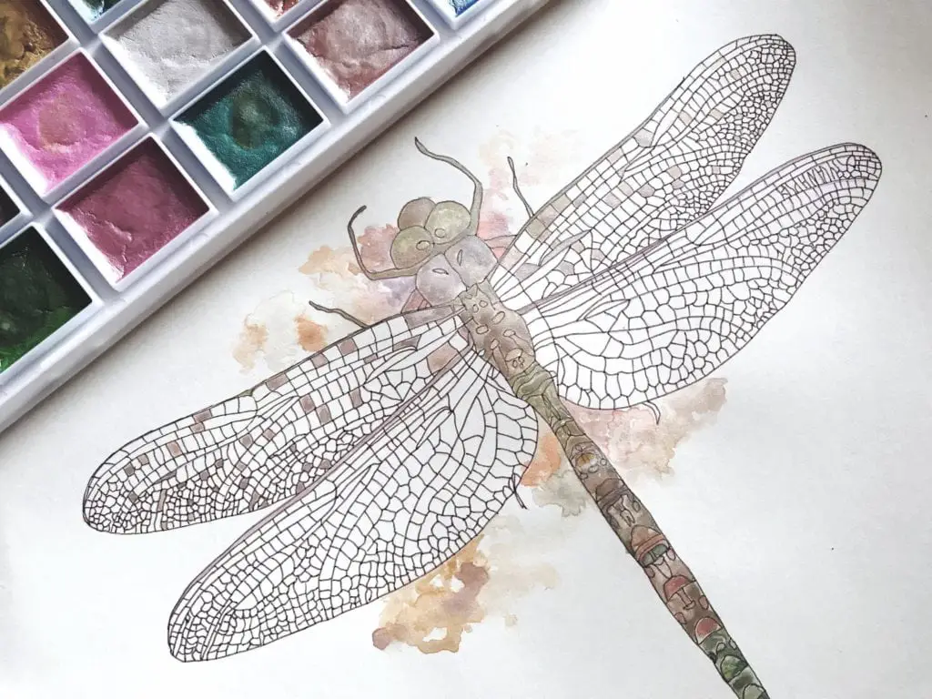 how to paint a dragonfly 