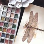 how to paint a watercolour dragonfly