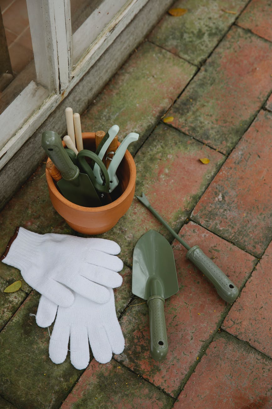 How to keep your garden tidy and clean 