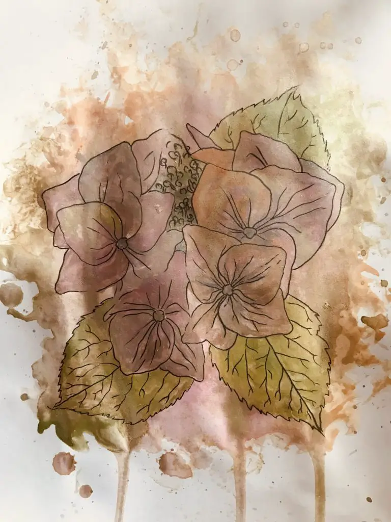 how to paint hydrangea flowers simple in watercolour 