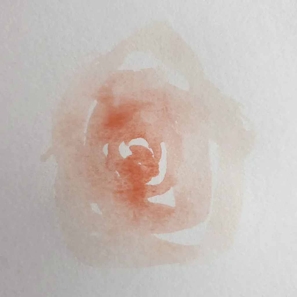 how to paint loose watercolour flowers step by step
