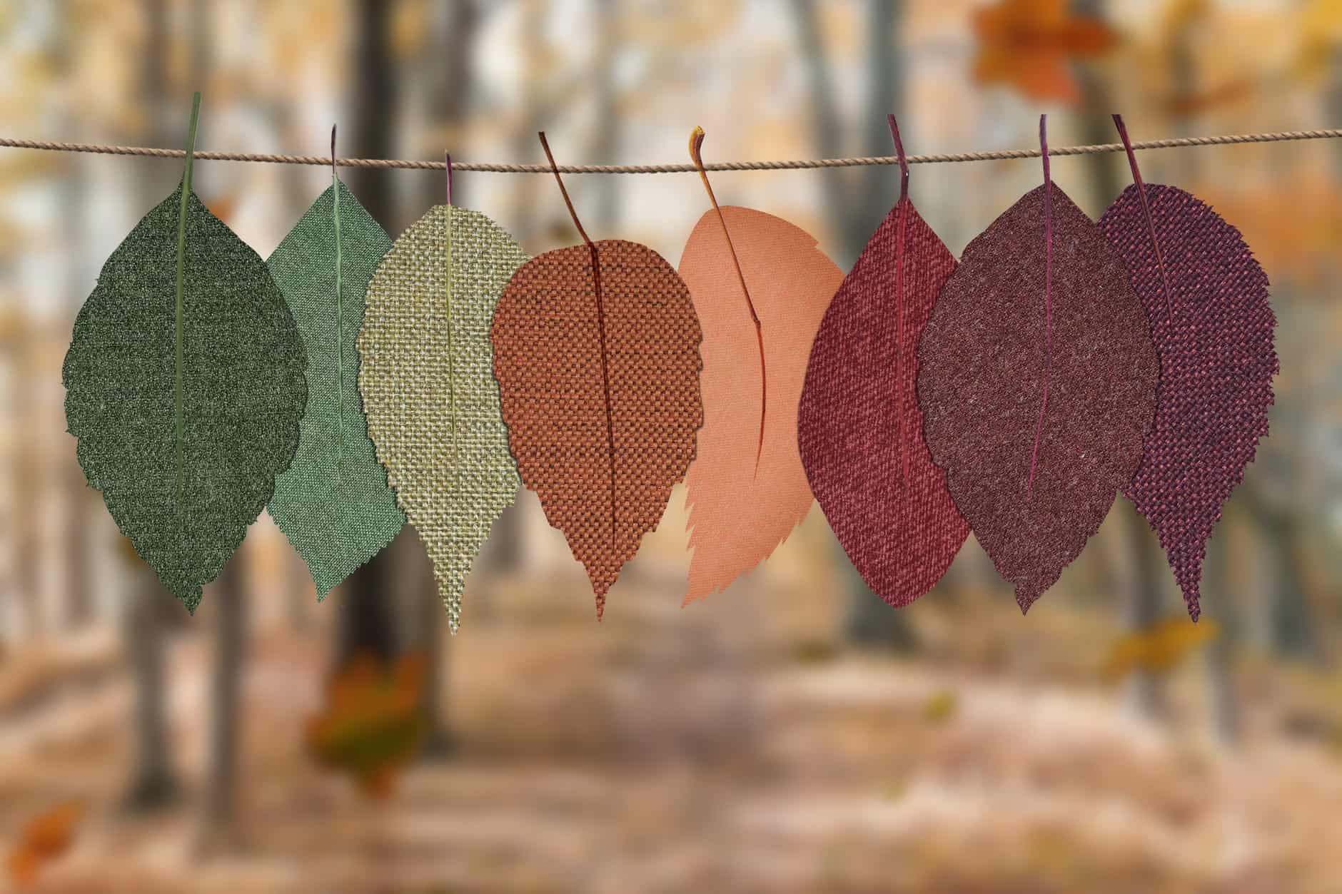 Autumn colour palette