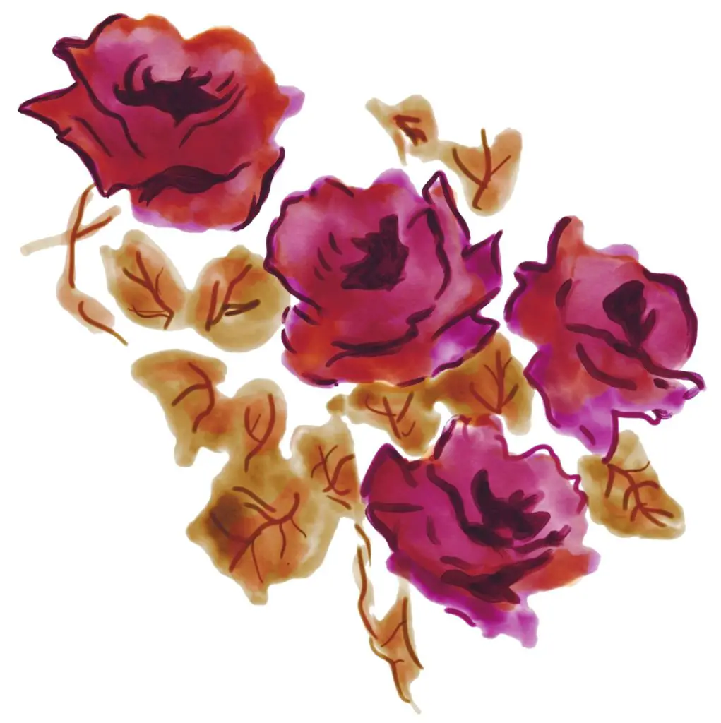 burgundy watercolour flowers