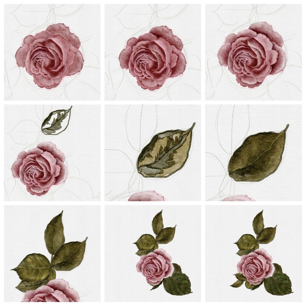 how to paint a rose Step by step