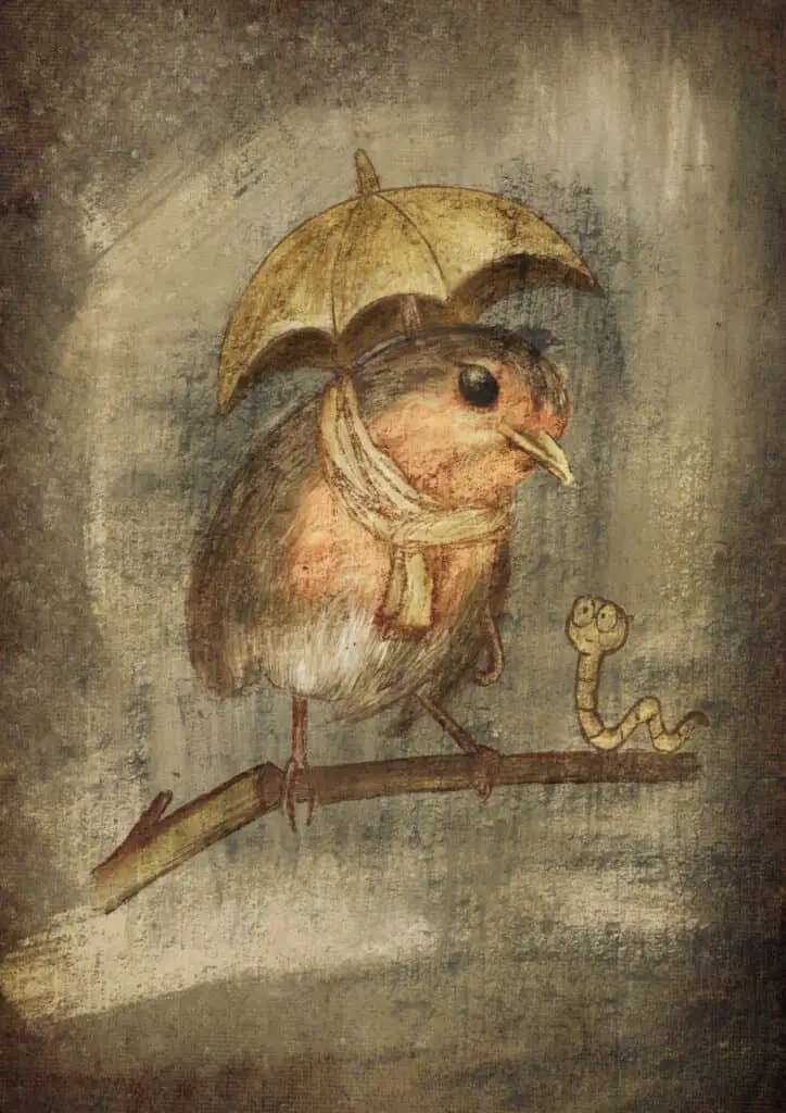cute robin picture illustration