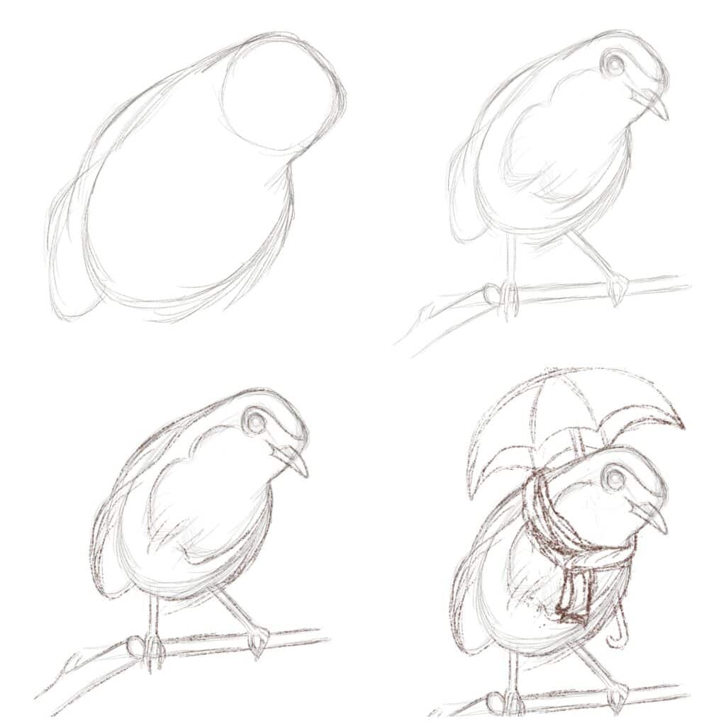 how to draw a robin step by step