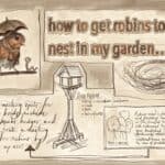 how to get robins to nest in garden